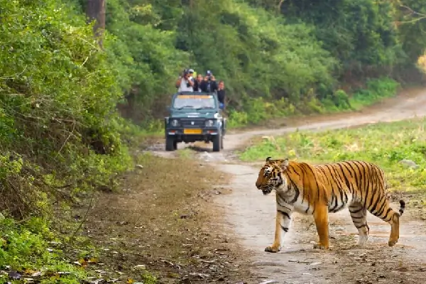 Delhi to Jim Corbett Car rental Service for Outstation